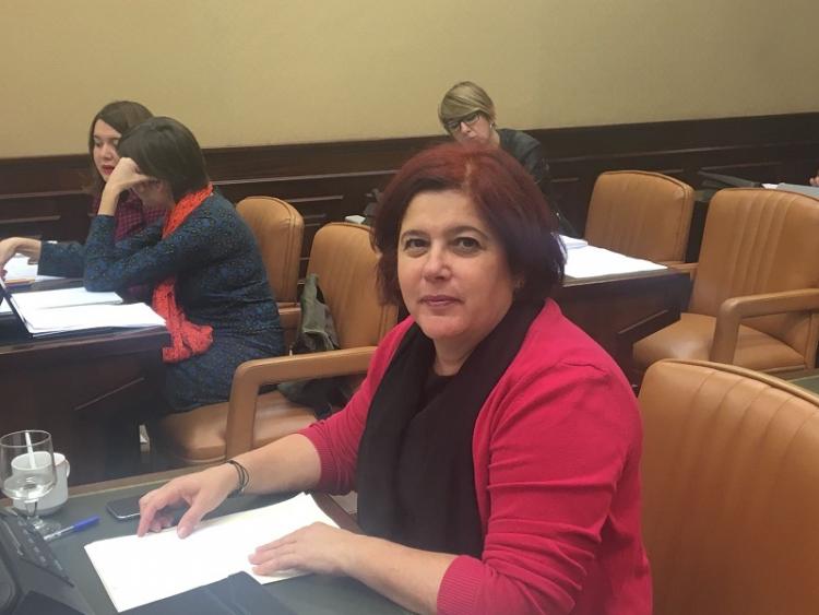 Elvira Ramón, en una comisión parlamentaria.