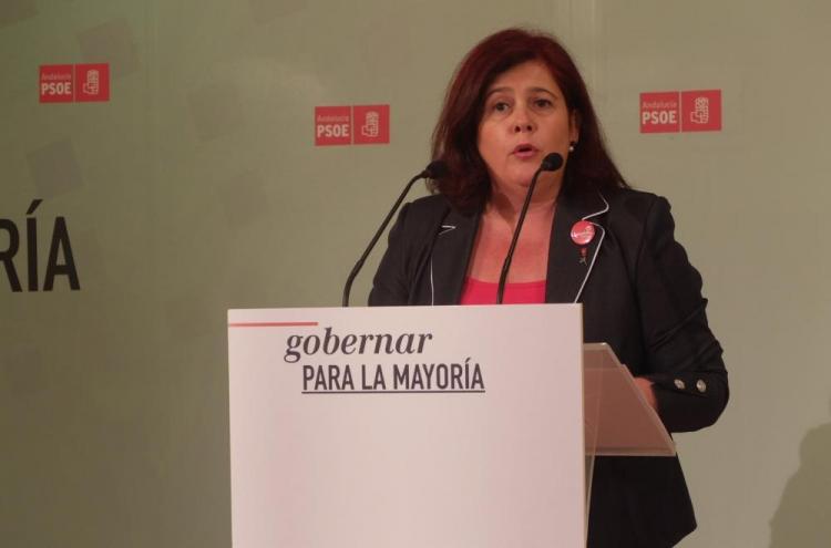 Elvira Ramón, en una rueda de prensa. 