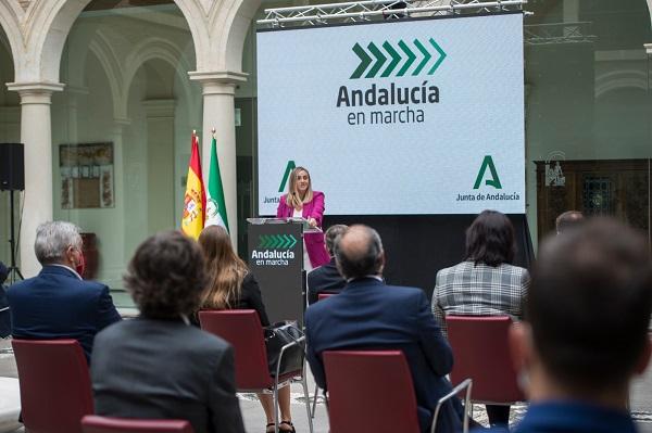 La consejera, este viernes, en la presentación del plan. La consejera, este viernes, en la presentación del plan.