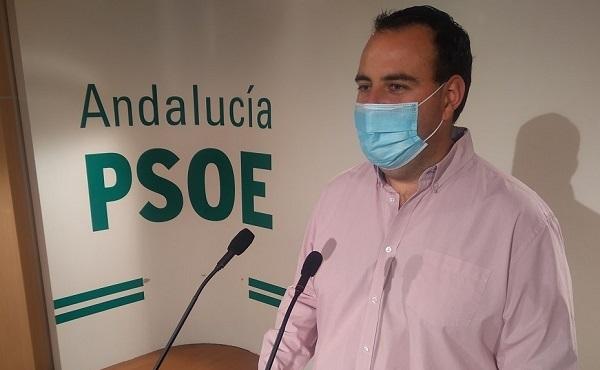 Álex Casares, secretario de Organización del PSOE granadino.