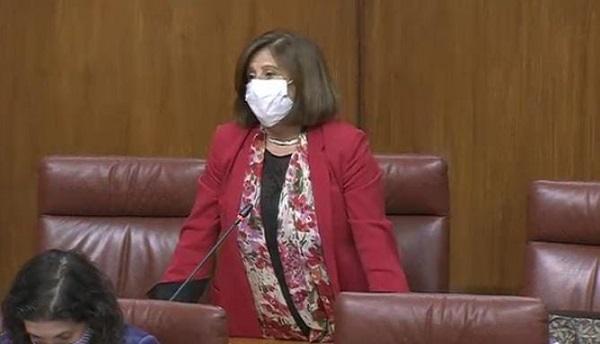 María José Sánchez, en una intervención en el Parlamento.