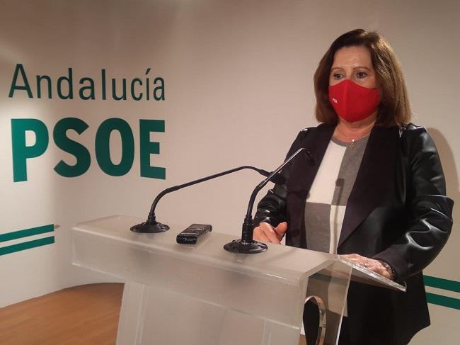 María José Sánchez Rubio, este viernes en rueda de prensa.