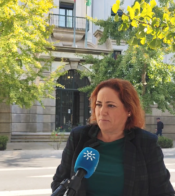 Mari Carmen Pérez, frente al antiguo edificio del Banco de España, vendido por la Junta a la Diputación.