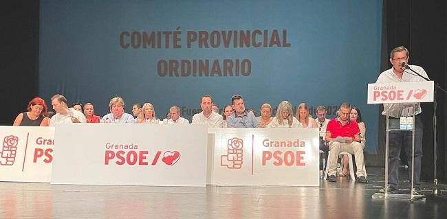 Entrena, durante su intervención ante el comité provincial del PSOE.