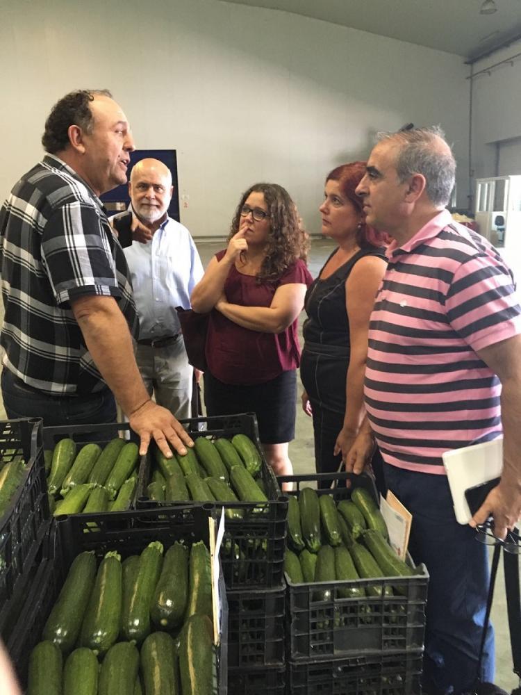 Los representantes del PSOE se han entrevistado con responsables de comercializadoras de hortalizas.