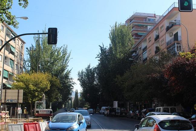 Árboles en la antigua Carretera de Málaga Árboles en la antigua Carretera de Málaga.