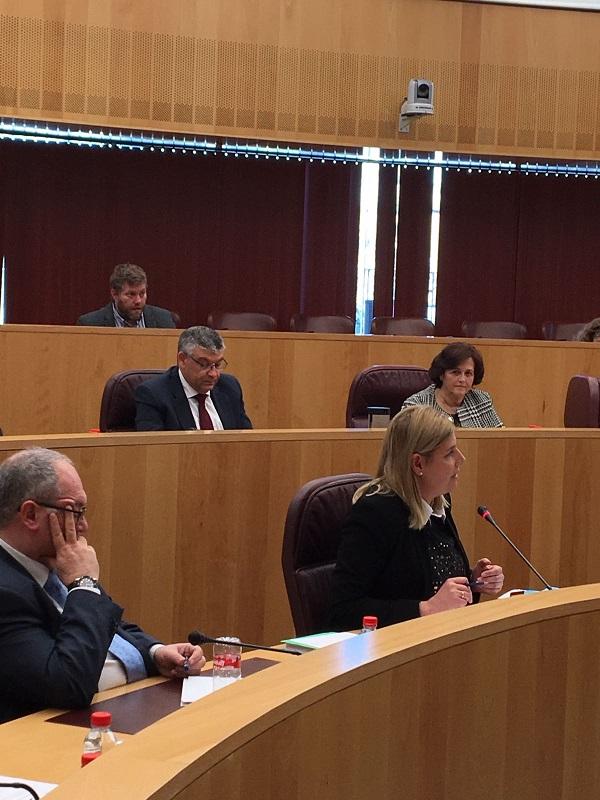 Inmaculada Hernández durante el pleno de presupuestos.