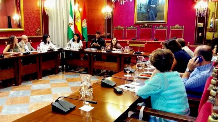 Lorena Rodríguez, en la comisión de Derechos Sociales. Lorena Rodríguez, en la comisión de Derechos Sociales.