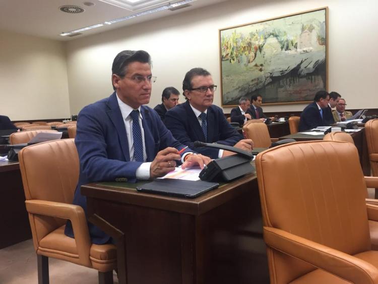 Luis Salvador en la Comisión de Agricultura.