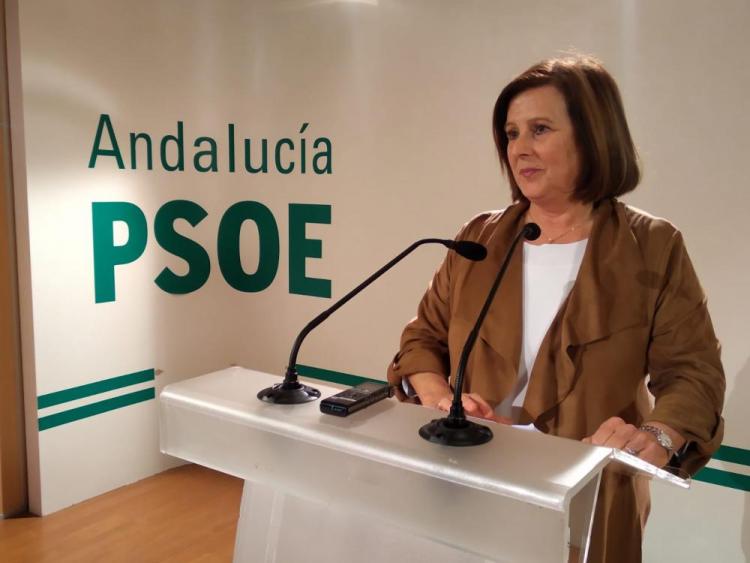 María José Sánchez, este lunes en rueda de prensa.