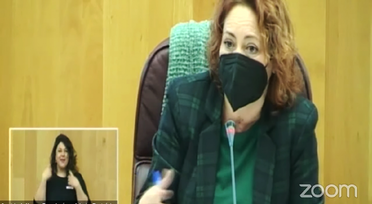 Maricarmen Pérez en el pleno de Diputación.