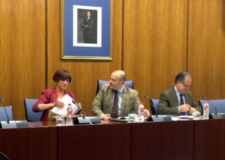 Marina Martín en la comisión de investigación. Marina Martín en la comisión de investigación.