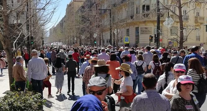 Detalle de la manifestación del pasado sábado en Granada. 
