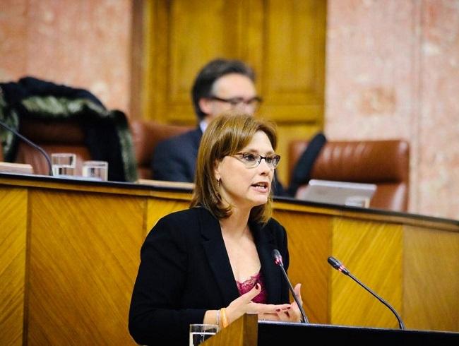 Mar Sánchez en una intervención parlamentaria.