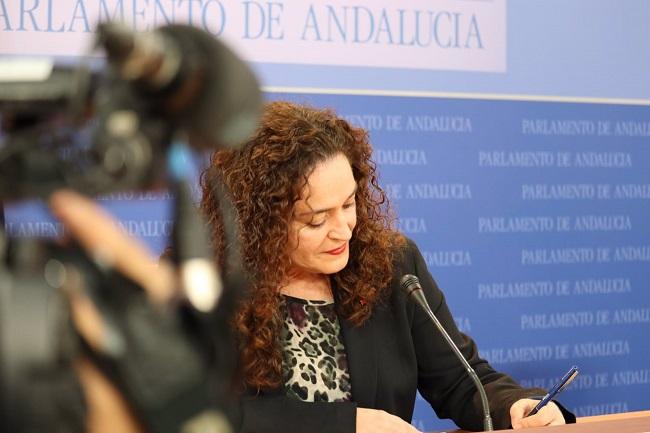 La portavoz del Grupo Parlamentario de Por Andalucía, Inma Nieto.