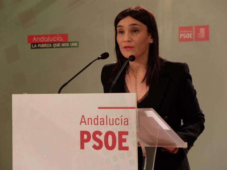 La secretaria de Política Municipal del PSOE de Granada, Olga Manzano.
