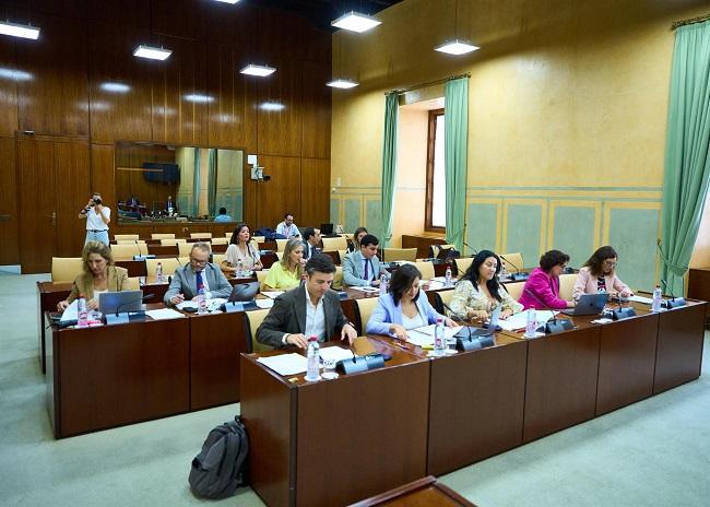 Imagen de este jueves de la Comisión de Desarrollo Educativo del Parlamento de Andalucía. 