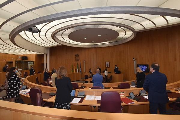 Pleno de la Diputación. Pleno de la Diputación.
