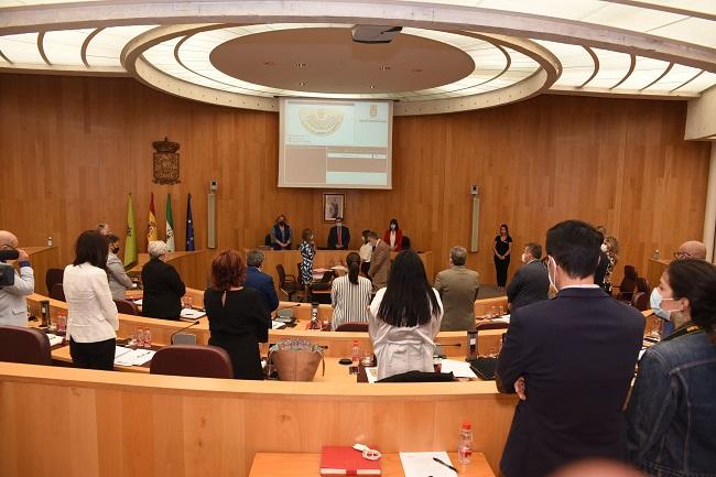 Imagen del inicio de la sesión del pleno de la Diputación de Granada.