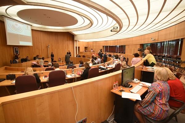 Pleno de la Diputación. Pleno de la Diputación.