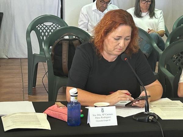 Mari Carmen Pérez, en el pleno provincial, celebrado este miércoles.
