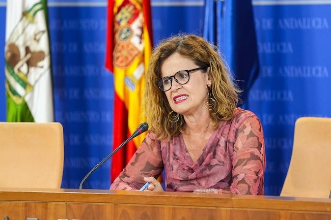 La parlamentaria del grupo Por Andalucía, Esperanza Gómez, en rueda de prensa. (Foto de archivo).