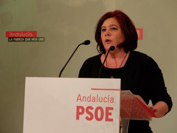 Elvira Ramón en una rueda de prensa.