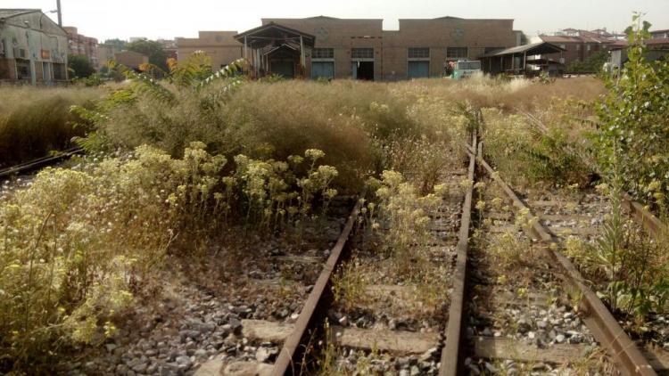 Estado de abandono de los talleres.