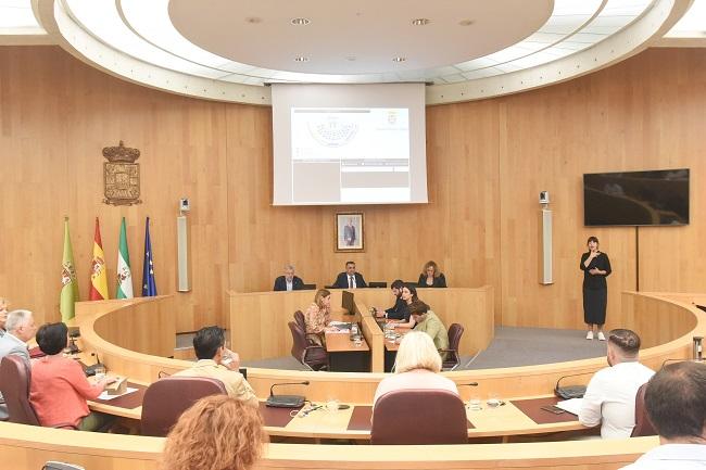 Pleno extraordinario de la Diputación, este viernes.