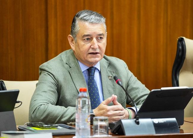 Antonio Sanz, consejero de Presidencia, este jueves en el Parlamento.