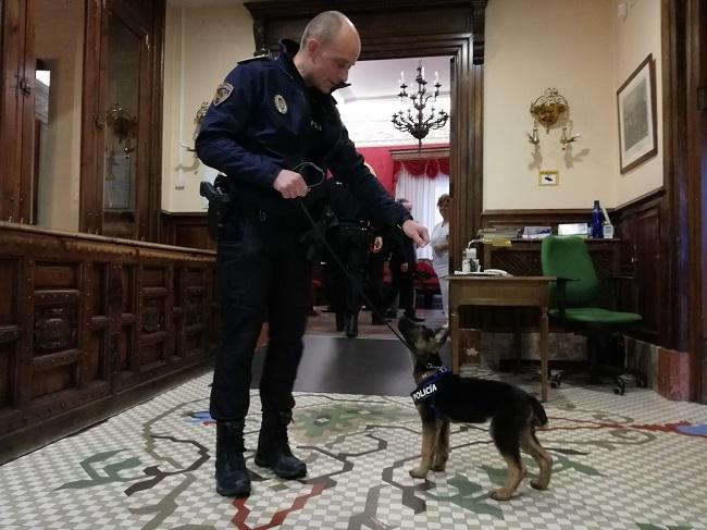 Óscar del Pino con Stan Lee poco tiempo después de ser adoptado el cachorro. Óscar del Pino con Stan Lee poco tiempo después de ser adoptado el cachorro.