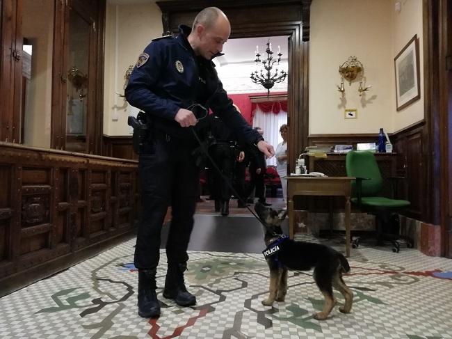 Óscar del Pino con Stan Lee poco tiempo después de ser adoptado el cachorro.