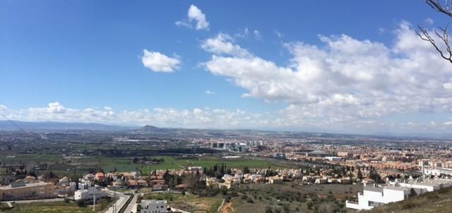 Panorámica de la Vega. 