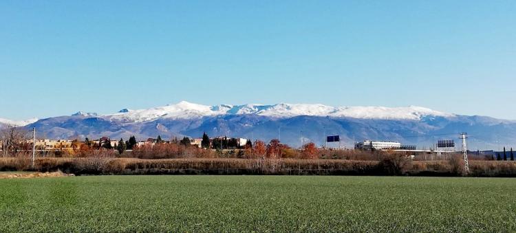 Vista de la Vega y Sierra Nevada.