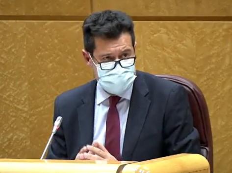 Alejandro Zubeldia, en una de sus intervenciones en el Senado.