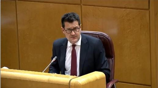 Alejandro Zubeldia, este lunes en el Senado.