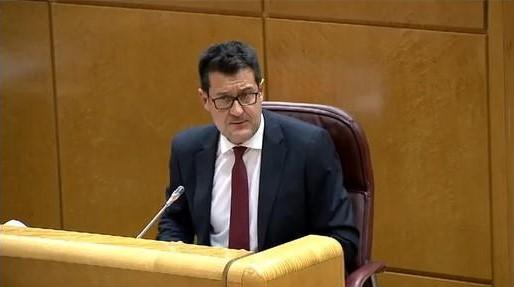 Alejandro Zubeldia, en una comparecencia reciente en el Senado.