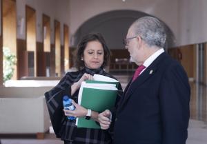 La consejera de Salud y Consumo, Catalina García, junto al ex gerente del SAS y exviceconsejero, Miguel Ángel Guzmán, en una imagen de archivo. 