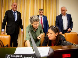 Rosa María Mateo, cuando compareció en el Congreso el pasado 25 de septiembre.