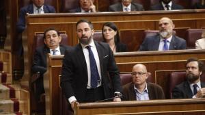 Santiago Abascal y parte del grupo de Vox en el Congreso en una imagen de archivo.