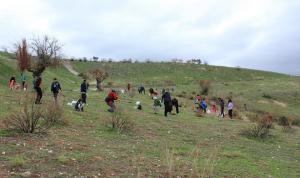 Una treintena de personas han participado en la reforestación.