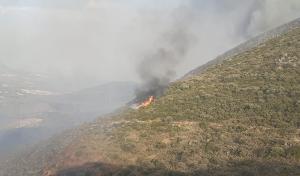 Imagen de una de las zonas afectadas por el fuego de Sierra Elvira. 