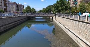 Suciedad en el agua estancada del río Genil, a la altura del Camino de Ronda. 