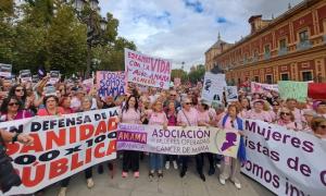 La Plataforma 8M/25N y Amama Granada participaron en la concentración del domingo en Sevilla.