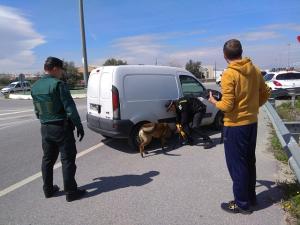 Un perro de la unidad canina inspecciona un vehículo. 