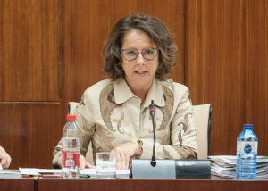 La consejera de Salud, Catalina García, en el Parlamento. 