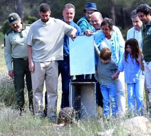 David Broncano libera uno de los linces en Iznalloz. 