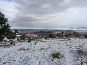 nevada sobre Los Llanos, en Monachil.