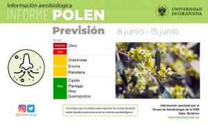 Niveles de polen en Granada. 