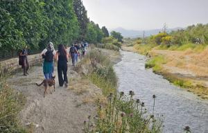 Participantes en el paseo por la ribera del río Dílar. 